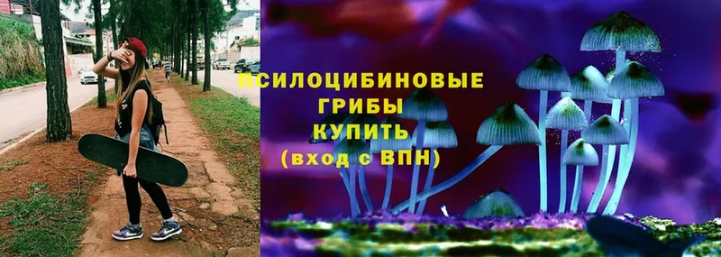 Псилоцибиновые грибы Psilocybe  Электроугли 